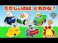 【パウ・パトロール】クイズ！ただしいのりものを見つけてあげよう！せいかいしてパウっとかいけつできるかな？♪子供向け知育教育★サンサンキッズTV★