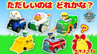 【パウ・パトロール】クイズ！ただしいのりものを見つけてあげよう！せいかいしてパウっとかいけつできるかな？♪子供向け知育教育★サンサンキッズTV★