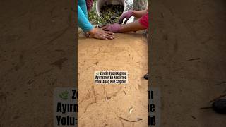 Benimle Dalga Geçtiler Sonra Yöntemimi Görüp Şok Oldular