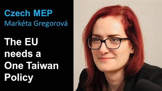 The EU needs a One Taiwan Policy | Interview, November 4, 2021 | Taiwan Insider on RTI