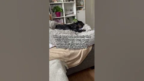 I think she knows what a queen she is😂 What do you think?😅#cutedog #dogmom