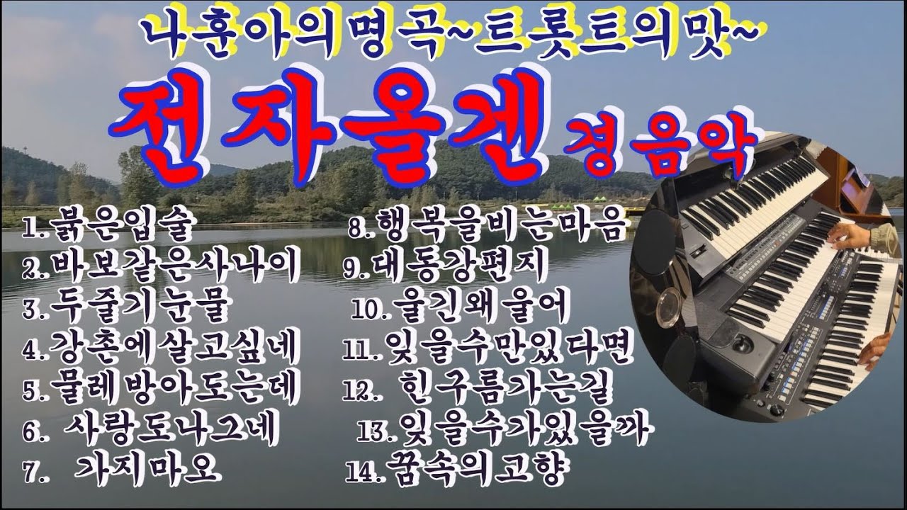 트롯트의맛~전자올겐경음악/나훈아의명곡/붉은입술/바보같은사나이/두줄기눈물/강촌에살고싶네 외10곡