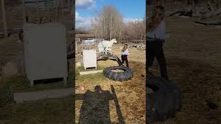 Girl runs around sheep standing on platform near tire then jumps on her