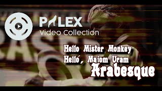Arabesque – Hello Mister Monkey - magyar fordítás / lyrics by palex