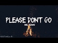 Joel Adams - Please Don&#39;t Go (Lyrics)