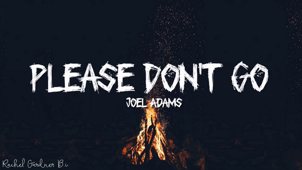 Joel Adams   Please Dont Go Lyrics