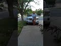 Crazy neighbor approaches us for the first time