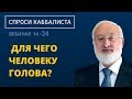 Для чего человеку голова?