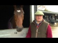 Paul Nicholls: Cheltenham Open Meeting 2012 Preview - Feature Races