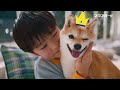 ネクスガード CM 2024年 「ドッグファースト」篇 15秒