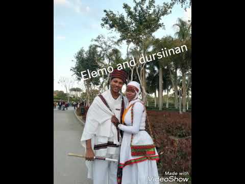 Sirbotaa afaan oromo haraa