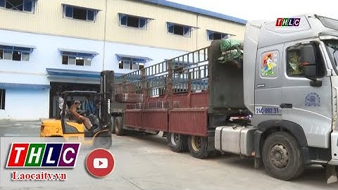 Kiểm tra tải trọng tại đầu mối bốc xếp hàng | THLC