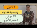 الشعر في العصر الأموي وضعية نقدية 1 ثانوي جميع الشعب وضعية مهمة جدا جدا لا تضيع النقاط