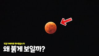 개기월식 보는 평범한 영상.. (근데 과학을 살짝 곁들인)