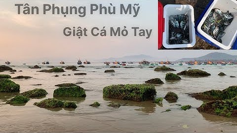 Câu Cá Biển Tự Nhiên, Câu Cá Thia, Câu Ghềnh, Câu Đài. TÝ FISHING ( Vietnamese fishing ).