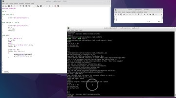 gdb input and variables