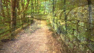 Gitanjali - Rabindranath Tagore - 69 - The same stream of life that runs through my veins