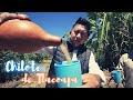 Probé el Chilote de Tlacoapa!!!