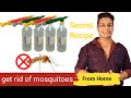 How To Kill Mosquitoes In Home : How To Get Rid Of Mosquitoes - 6 Secret Formula