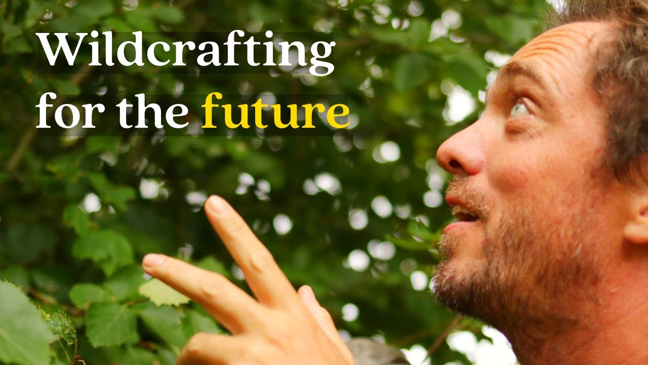 Wildcrafting Ethics + Tree Planting Woes + Plant Propagation with Sean Croke | Hands on Plants ep. 4