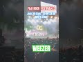 フジロック&lsquo;23 WEEZER