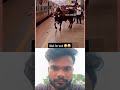 train ke sath बैल  masti  #ekmotahathighumechala #funnycomment #funniestvideo #funnyreel #eyecatchy