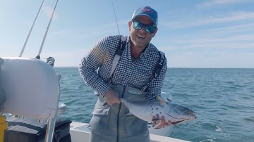 Fly Fishing for False Albacore | Hogy Epoxy Fly