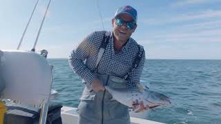 Fly Fishing for False Albacore | Hogy Epoxy Fly