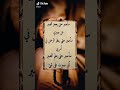 ساصبر حتى يعجز الصبر عن صبري ساصبر حتي يعلم الصبر اني صبرت على شئ