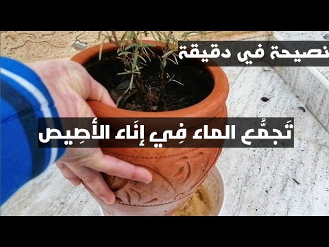 نصيحة في دقيقة تجمع الماء في الإناء السفلي للأصيص