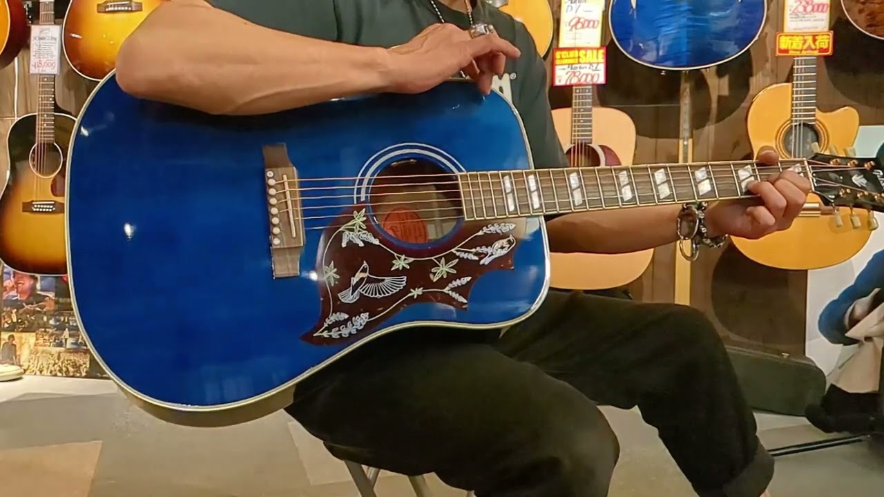 Sold Out】Gibson Miranda Lambert Bluebird - YouTube