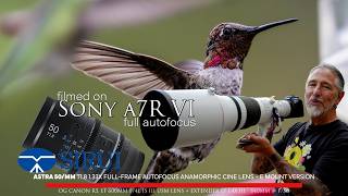 Hummingbirds with the OG R5 - video with SIRUI Astra 50mm T1.8 1.33x Full-Frame AF Anamorphic Lens