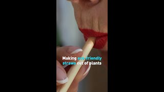 Making eco-friendly straws out of plants