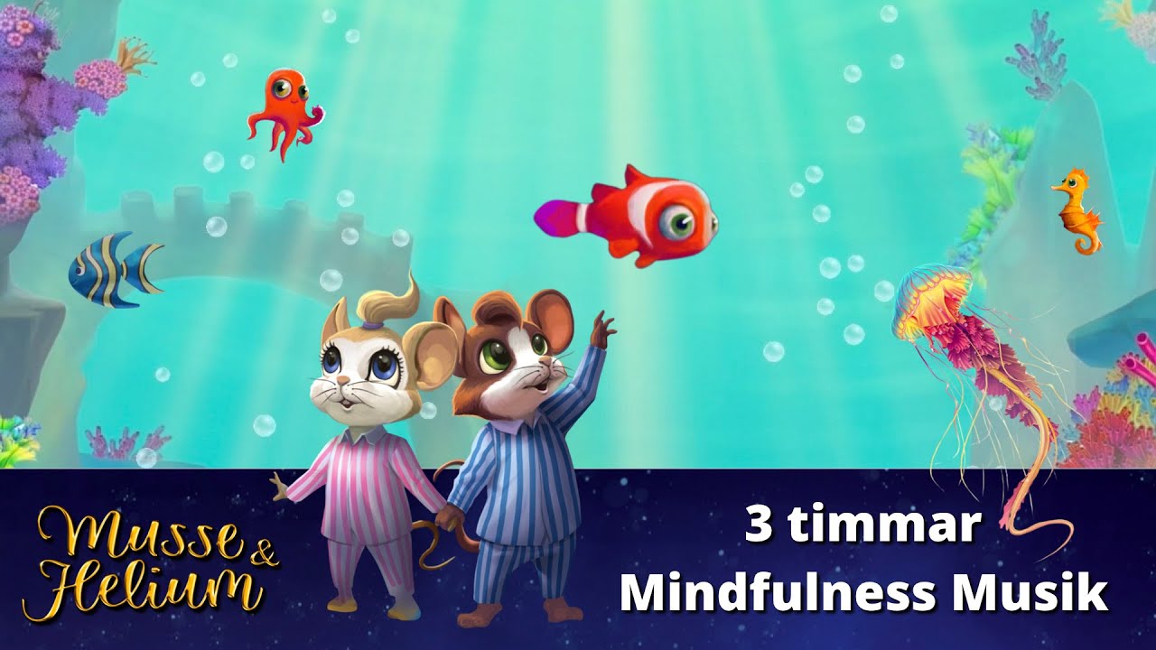 3-timmar-avkopplande-mindfulness-akvarium-meditation-dags-att