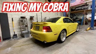 I didn't buy my Old Cobra but... I still have this Cobra