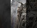 Markhor Ibex Carries Baby While Climbing Deadly Cliff 🐐⛰️