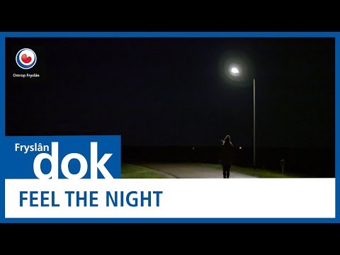 FRYSLAN DOK: Feel the Night