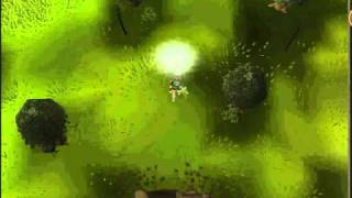 Runescape -2011 Invoke Spring Emote
