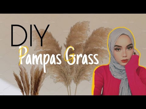 Video: Penyapu DIY: Penyapu Kayu Buatan Sendiri Untuk Pengambilan Rumput Kering, Lingonberry Dan Dedaunan. Bagaimana Membuat Kipas Dan Rake Silang?