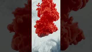 torch instrumental screenshot 4