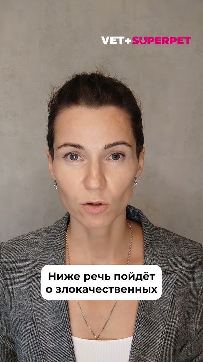 ОНКОЛОГИЯ У КОШЕК И СОБАК - YouTube