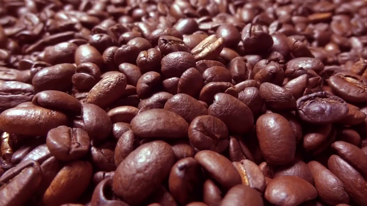 Coffee & Concession trailer on Merritt Island! - YouTube