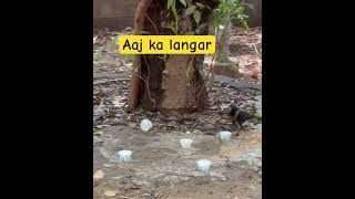 Ek chota sa prayas #birds#love#care#