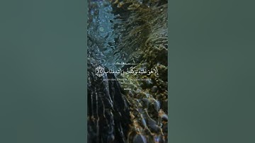 ما تيسر من سورة الرعد (( الَّذِينَ آمَنُوا وَتَطْمَئِنُّ قُلُوبُهُم بِذِكْرِ اللَّهِ ۗ  ))