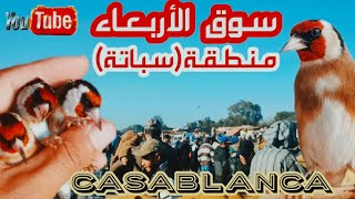 سوق الأربعاء ليوم 03 يناير 2023 أثمنة الطيور المغردة وخاصة المقنين والله يدير الخير🇲🇦🇩🇿🇹🇳 👍♥️