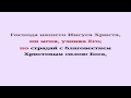 Видеобиблия. 2-е Послание Тимофею. Глава 1