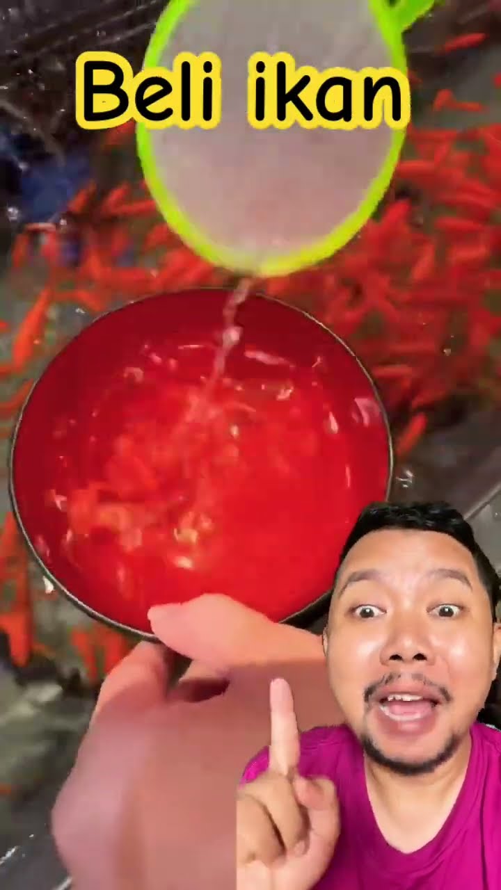 BELI IKAN YANG BANYAK!!!??#shortsfeed #shorts #funny #shortsviral