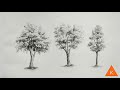 Easy tree sketch step by step