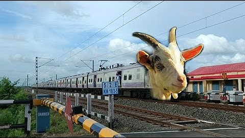 Goat Headed Train : Aerodynamic + Emu Train Dangerous & Furious Moving Throughout Railgate