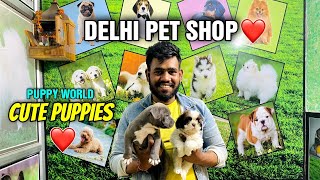 puppies world moti nagar